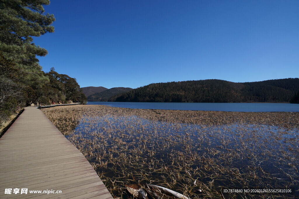 普达措森林公园