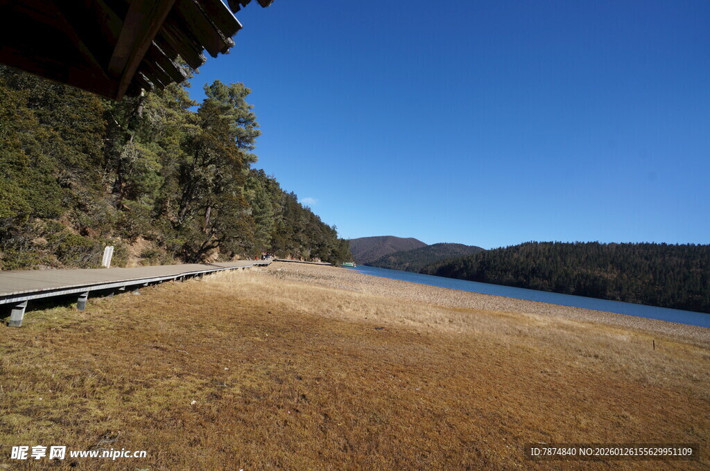 普达措森林公园