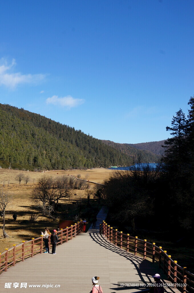 普达措森林公园