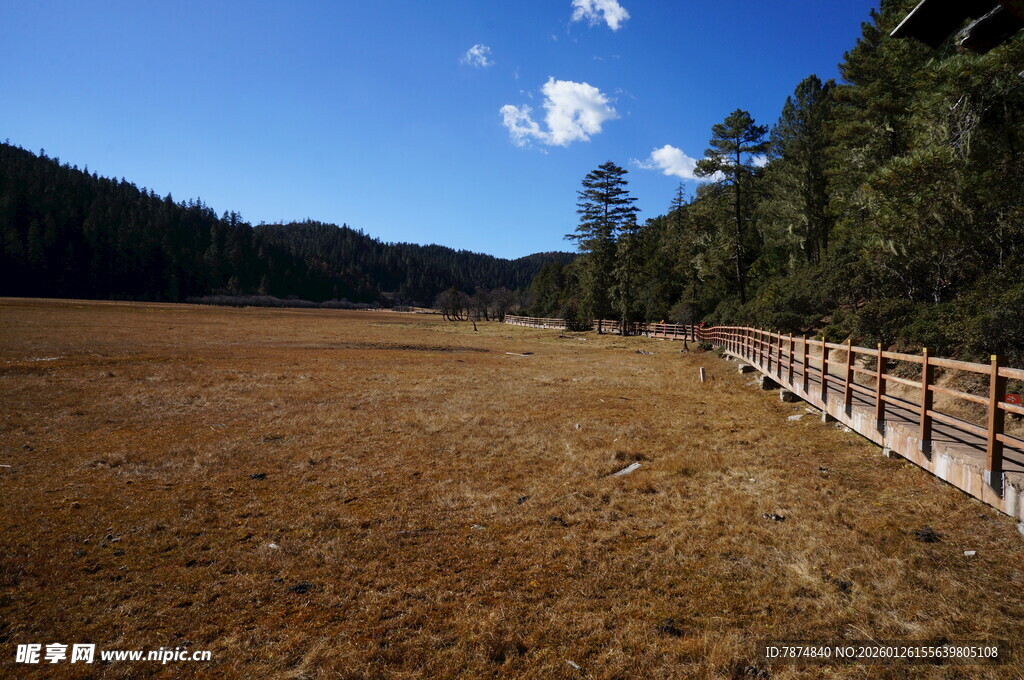 普达措森林公园