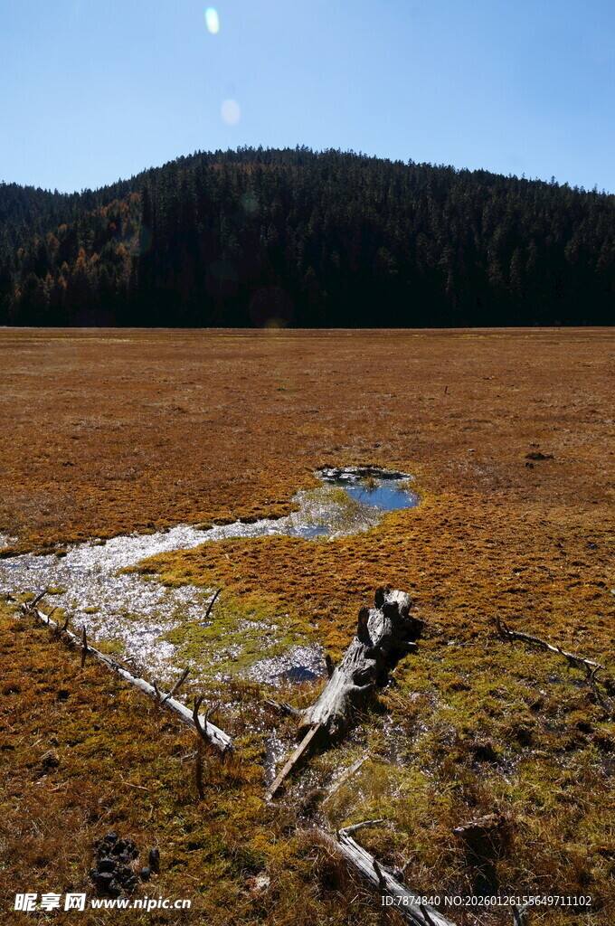 普达措森林公园