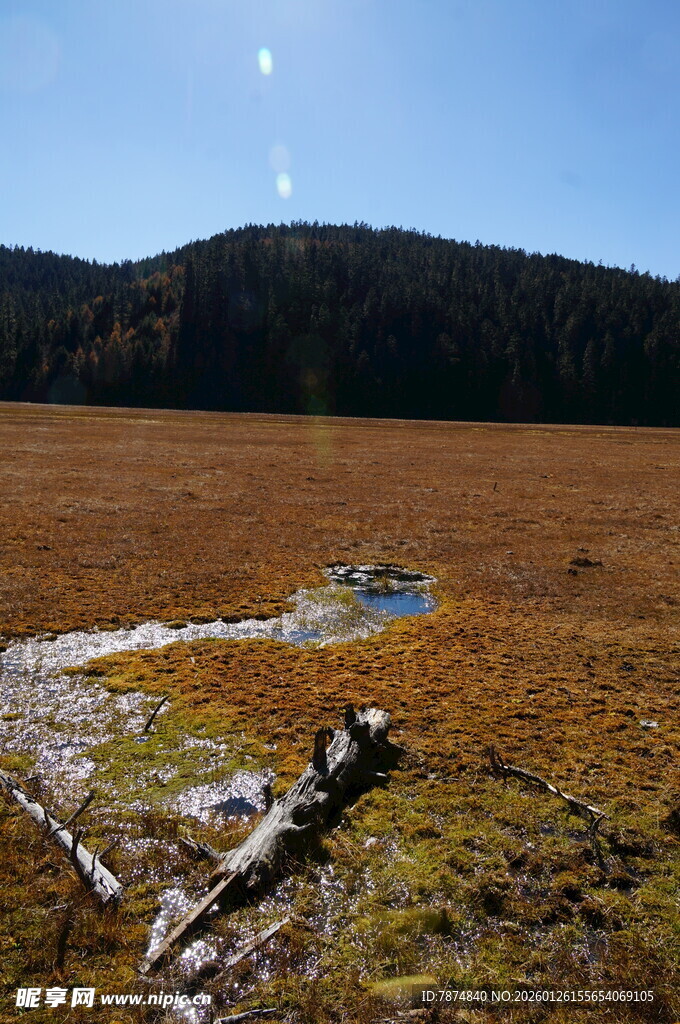 普达措森林公园