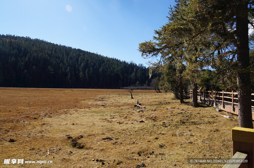 普达措森林公园