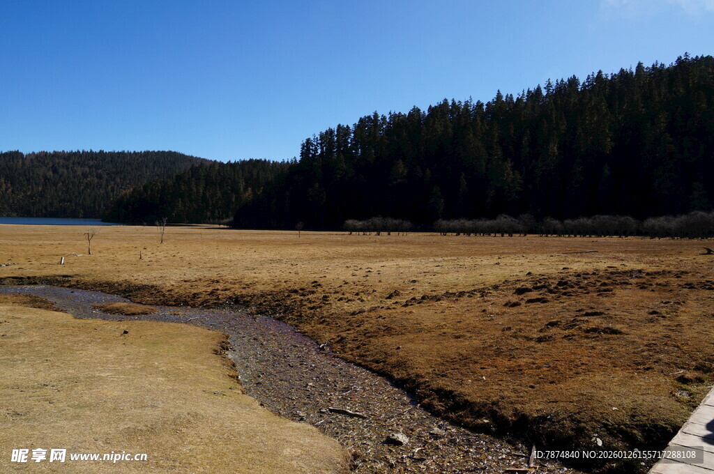 普达措森林公园