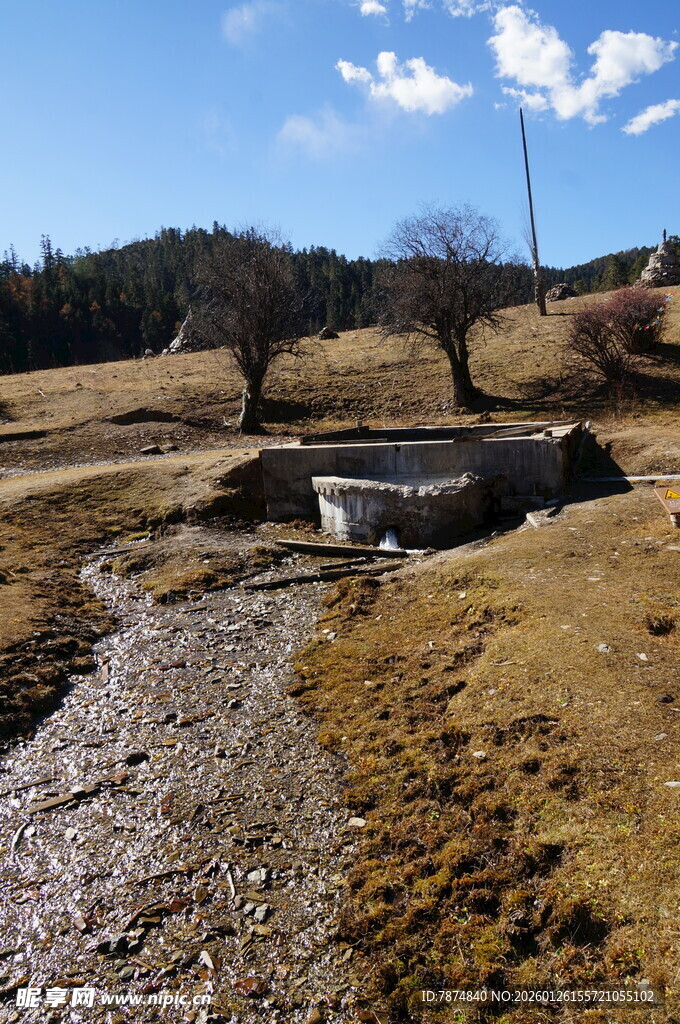 普达措森林公园