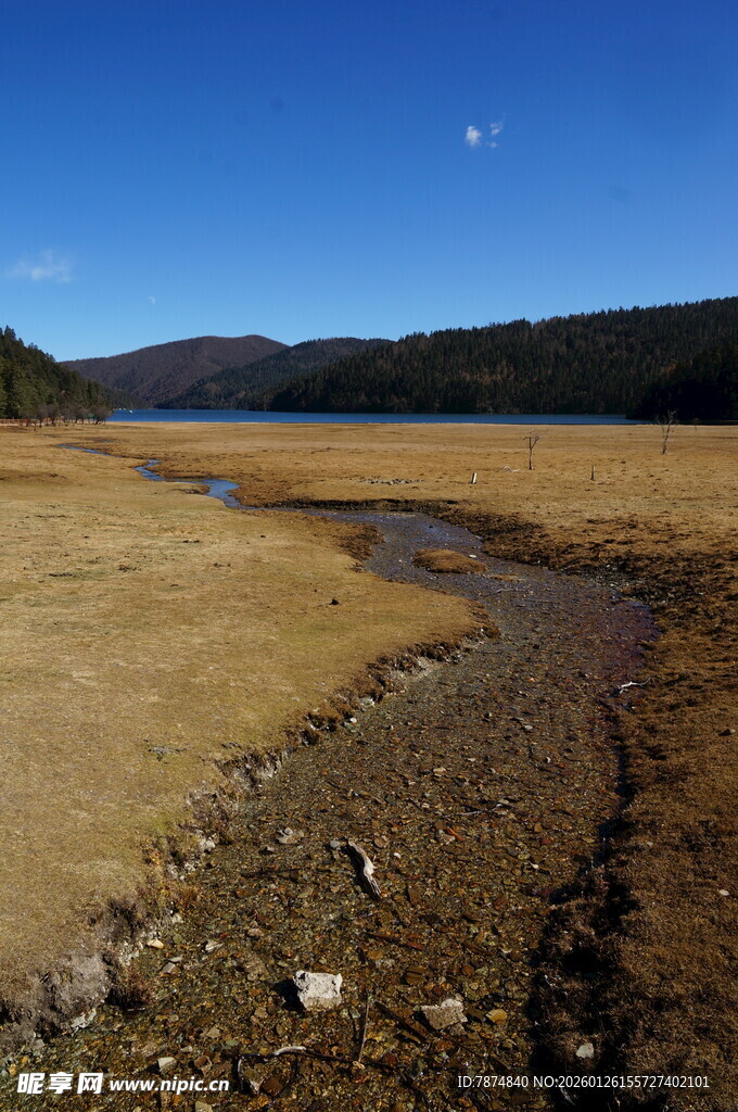普达措森林公园