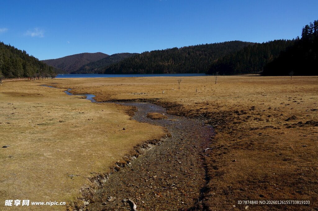 普达措森林公园