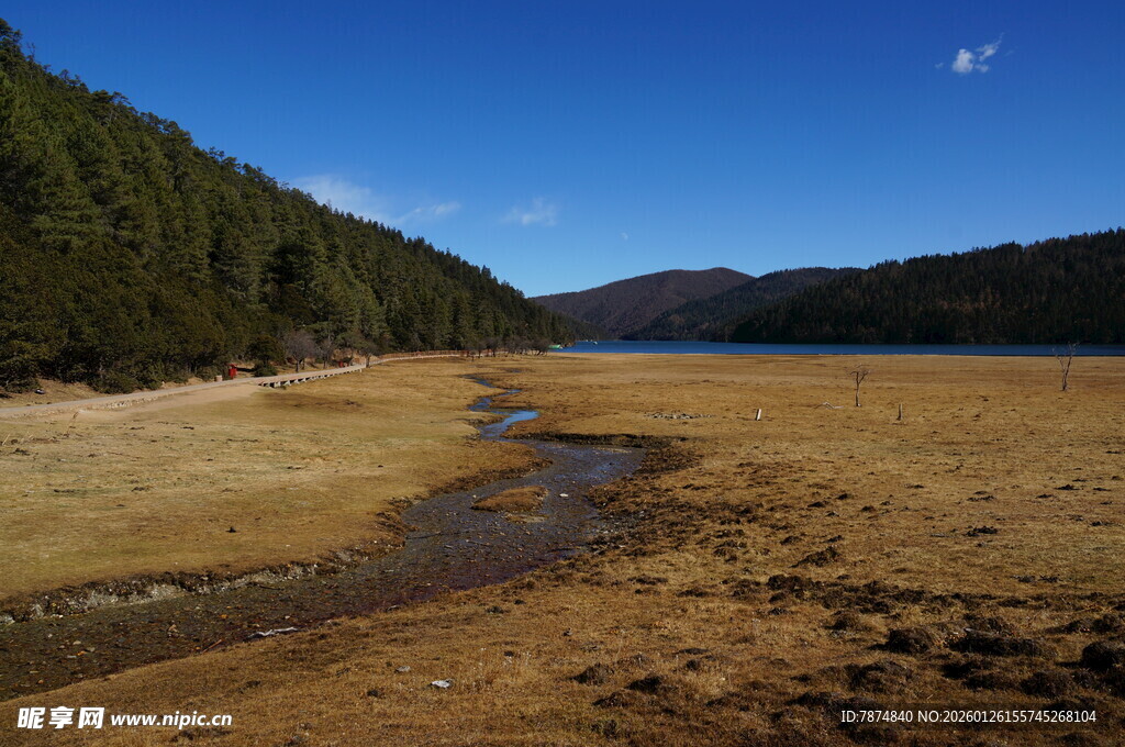 普达措森林公园