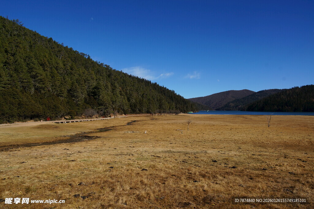 普达措森林公园