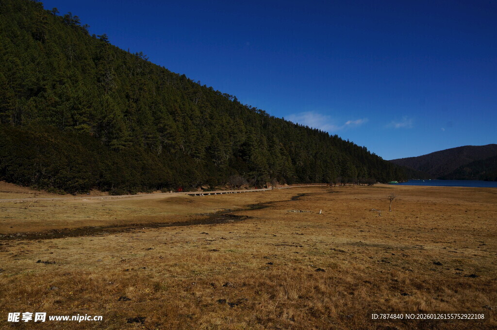 普达措森林公园