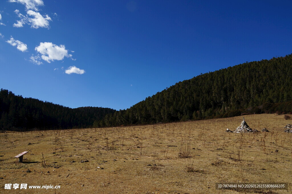 普达措森林公园