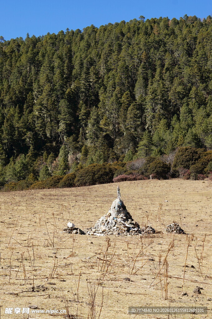 普达措森林公园