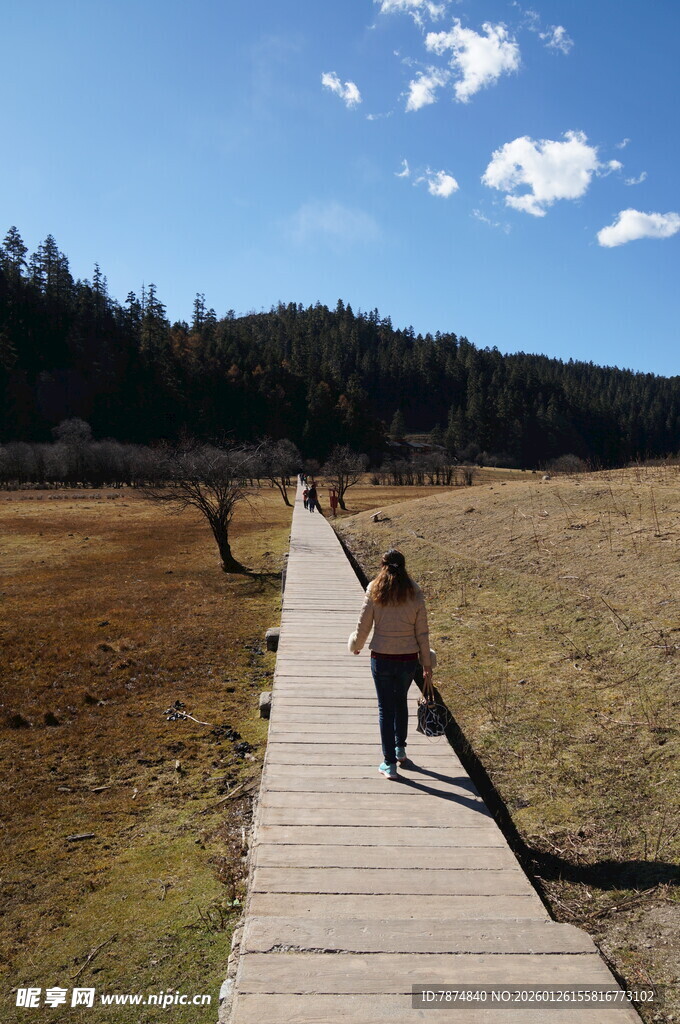 普达措森林公园