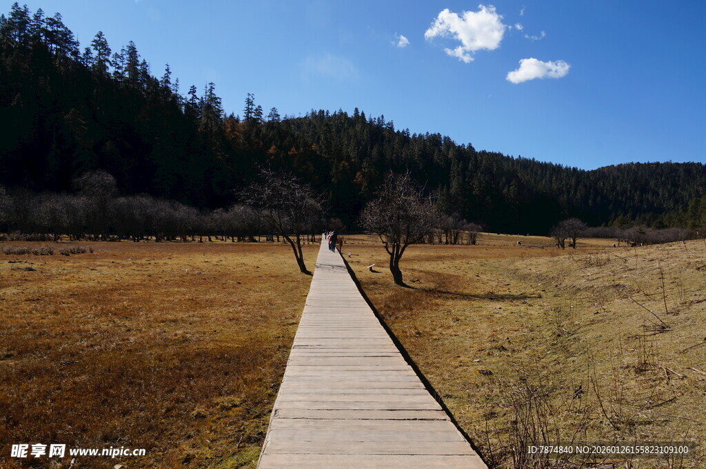 普达措森林公园