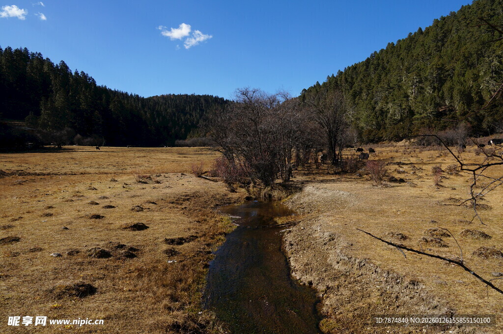 普达措森林公园