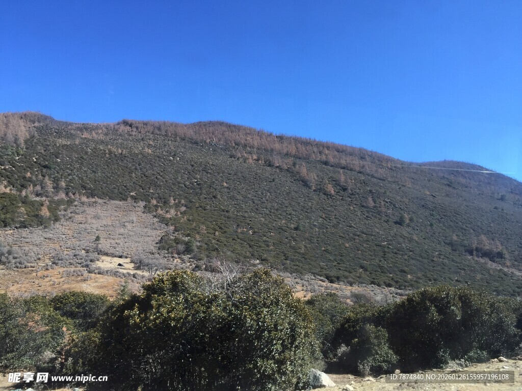 普达措森林公园