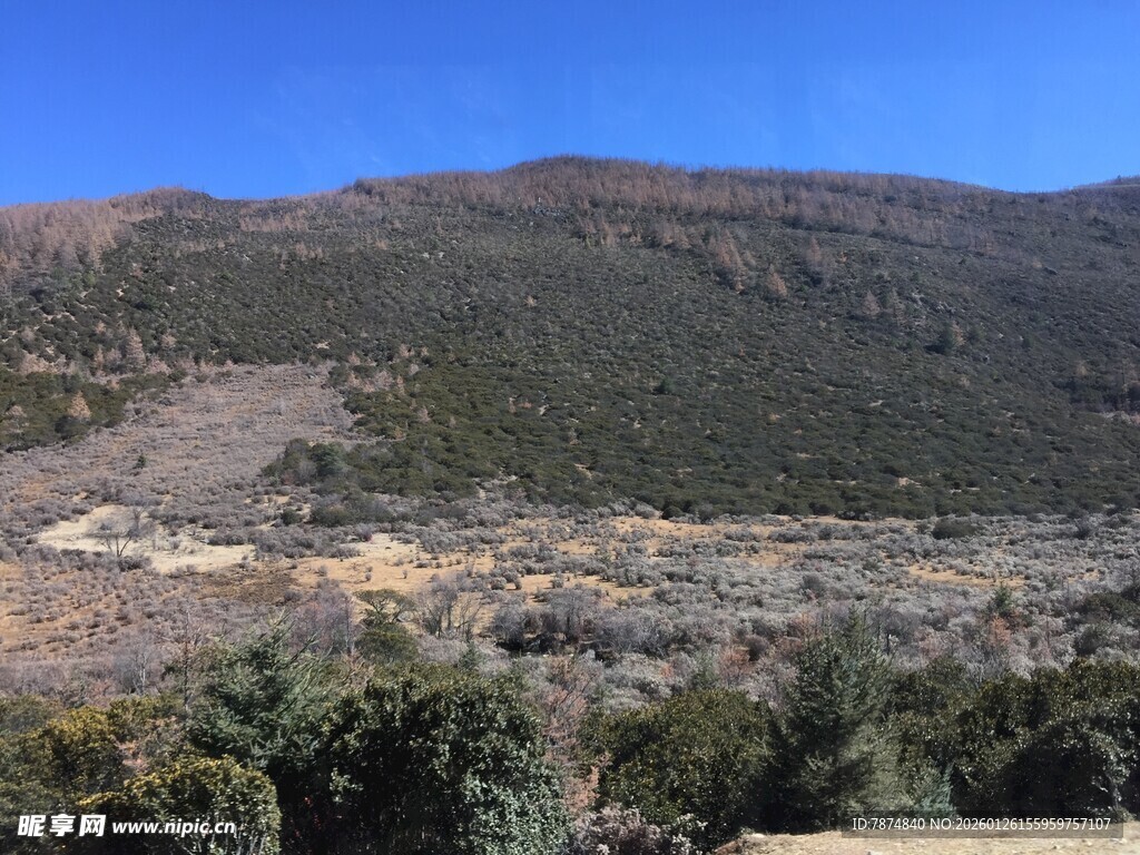 普达措森林公园山间景色