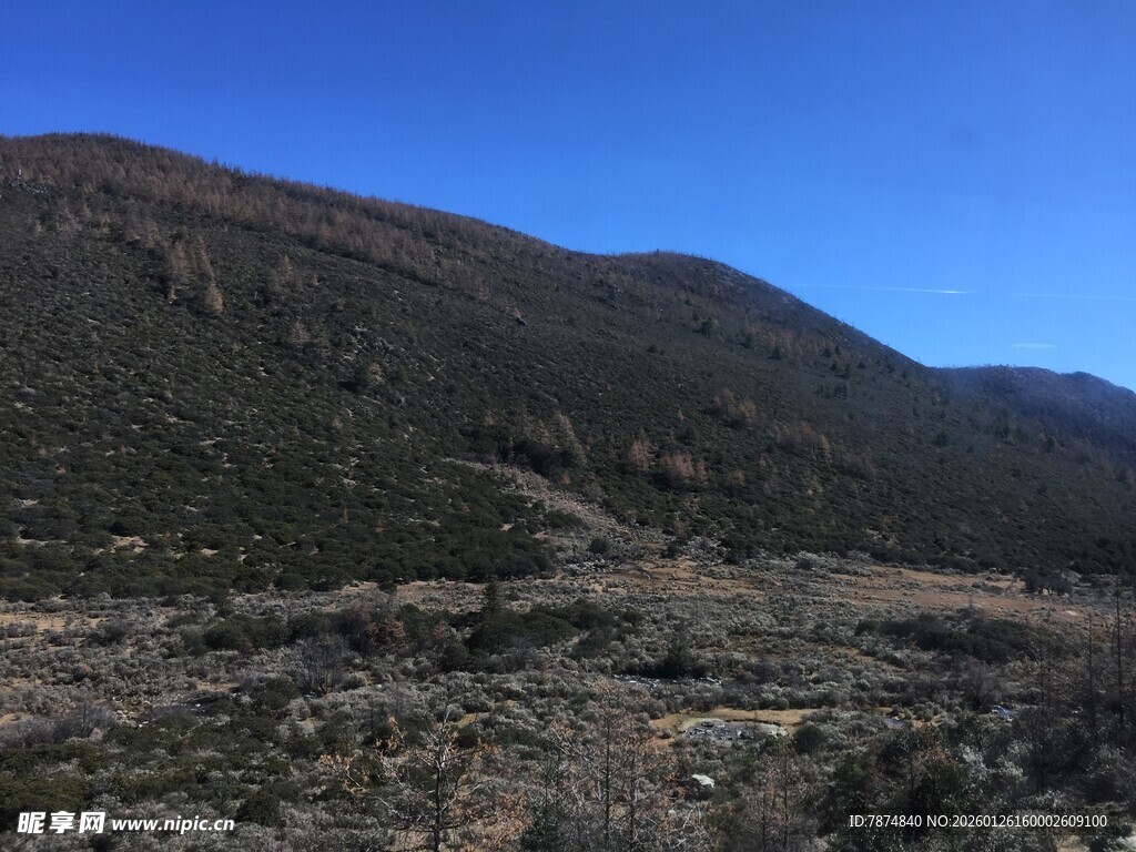 普达措森林公园