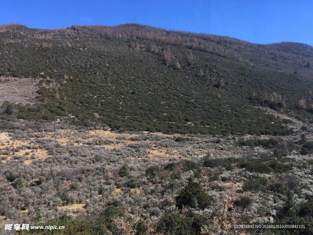 普达措国家森林公园