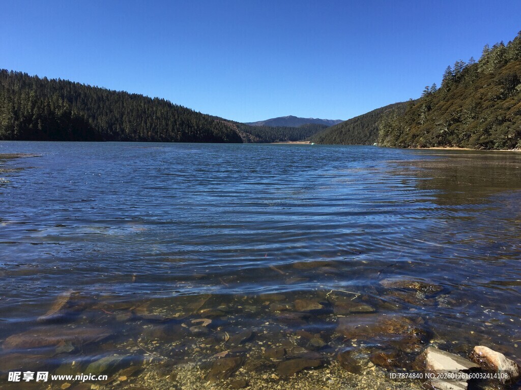 普达措森林公园