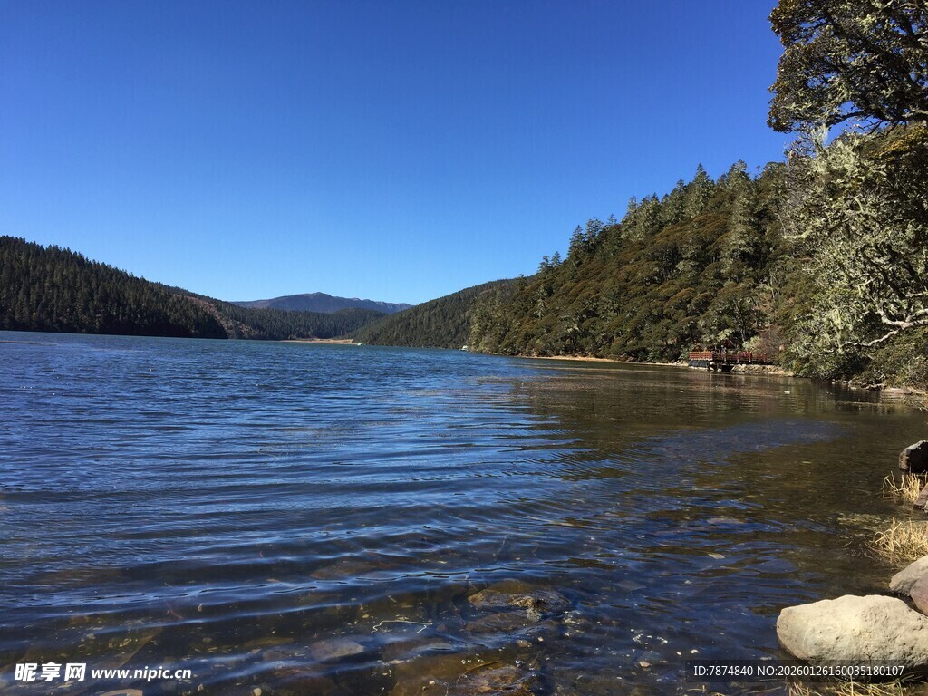 普达措森林公园