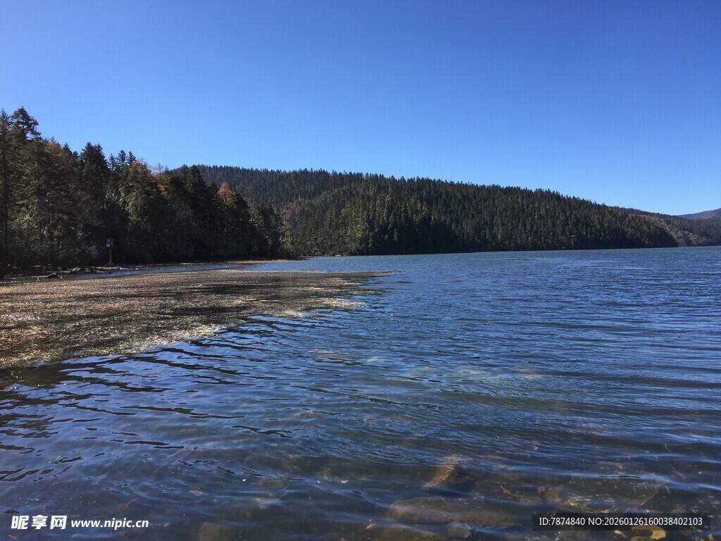 普达措森林公园