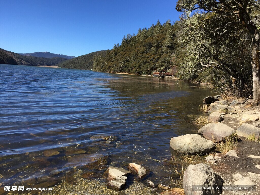 普达措森林公园