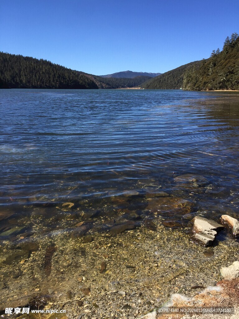 普达措森林公园