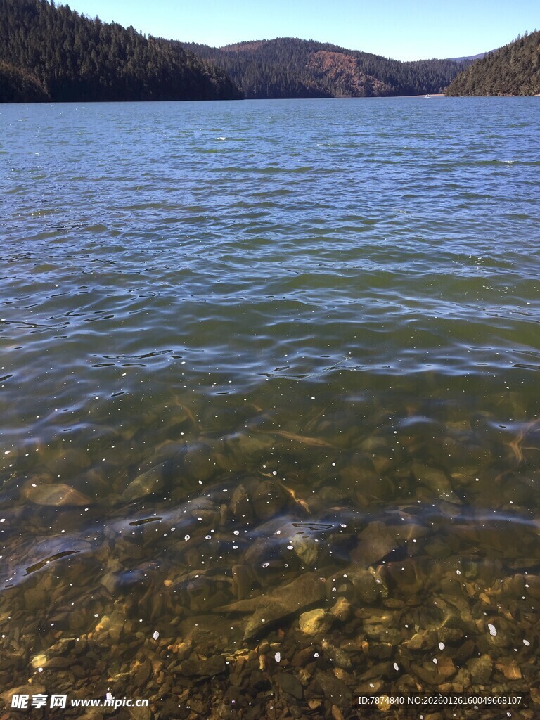 普达措森林公园