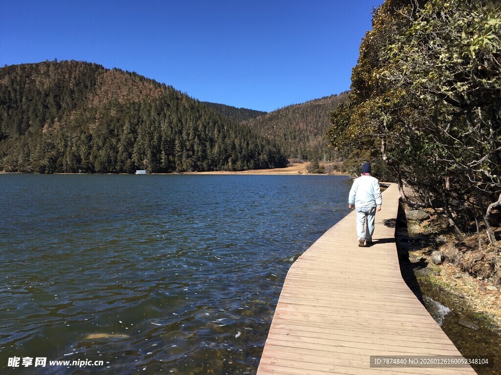 普达措森林公园