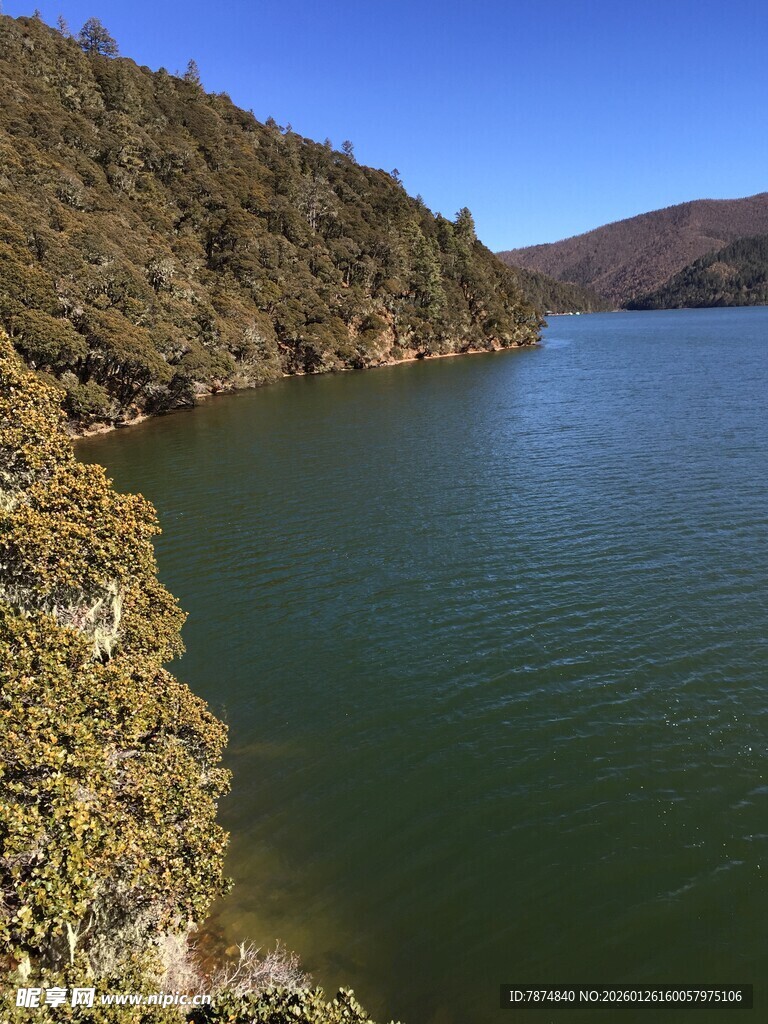 普达措森林公园