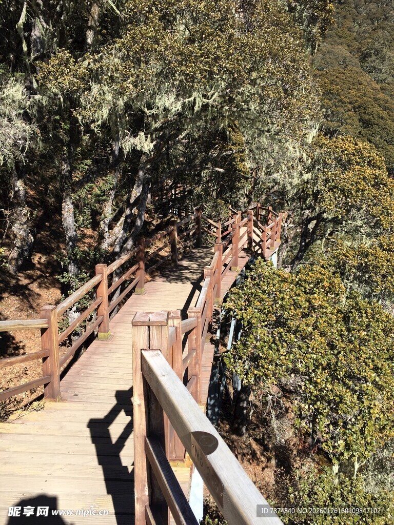 普达措森林公园