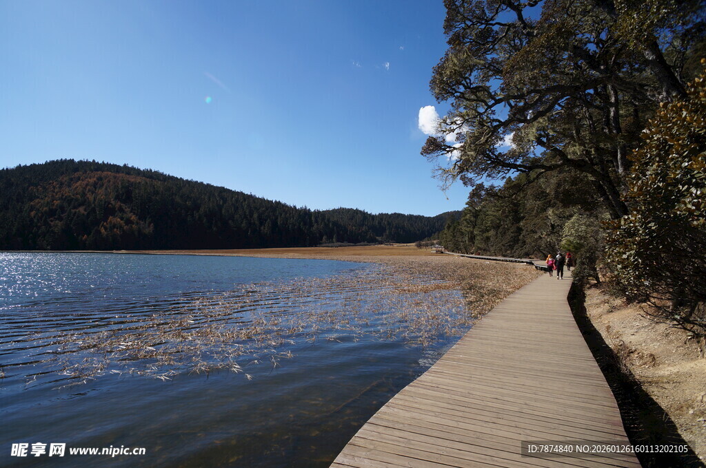 普达措森林公园