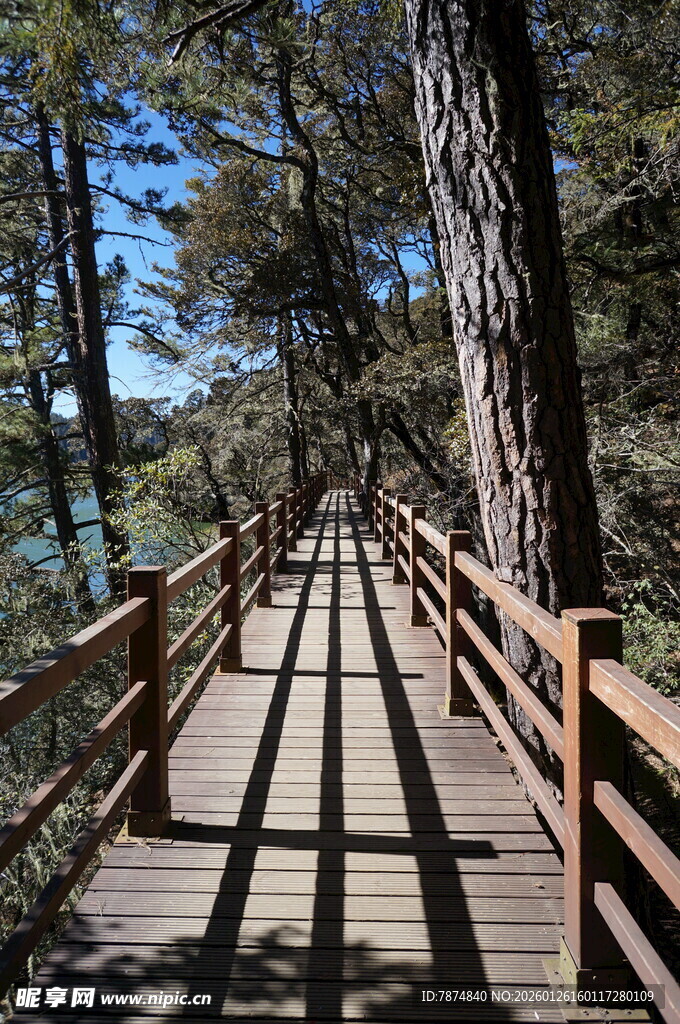 普达措森林公园