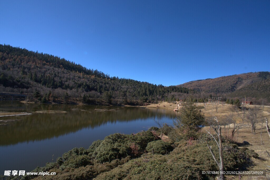 普达措森林公园