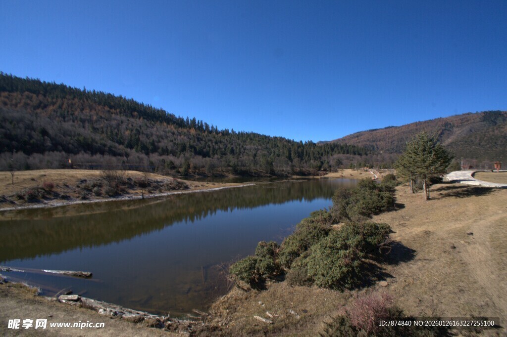 普达措森林公园