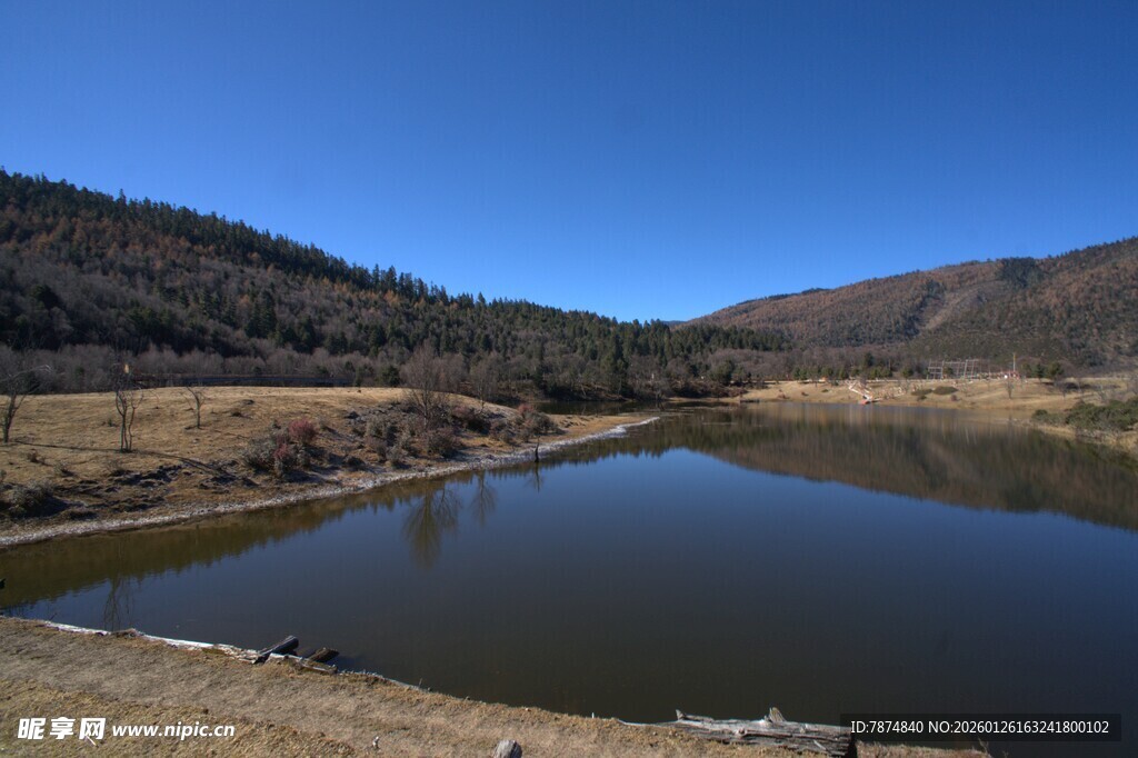 普达措森林公园