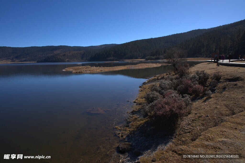 普达措森林公园