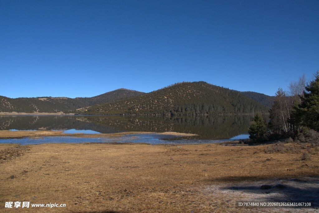 普达措森林公园
