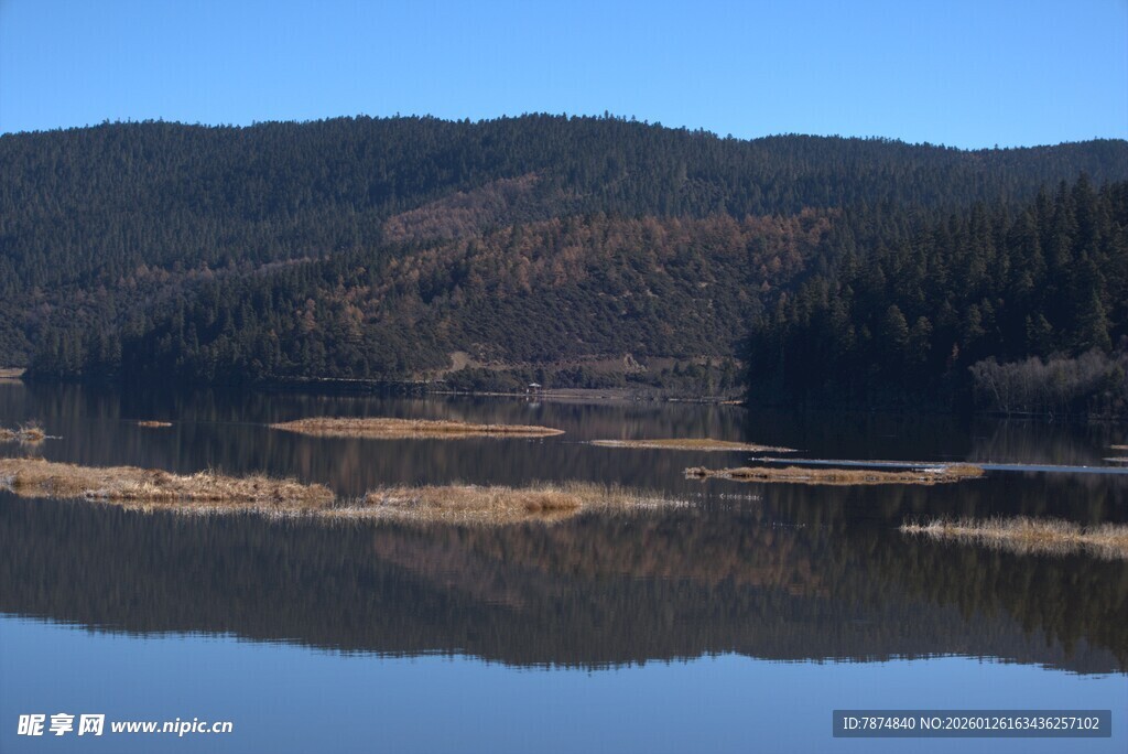 普达措森林公园