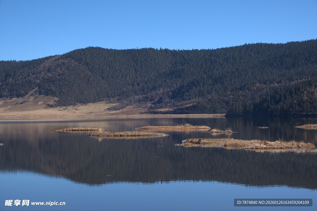 普达措森林公园