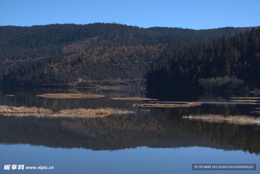 普达措森林公园