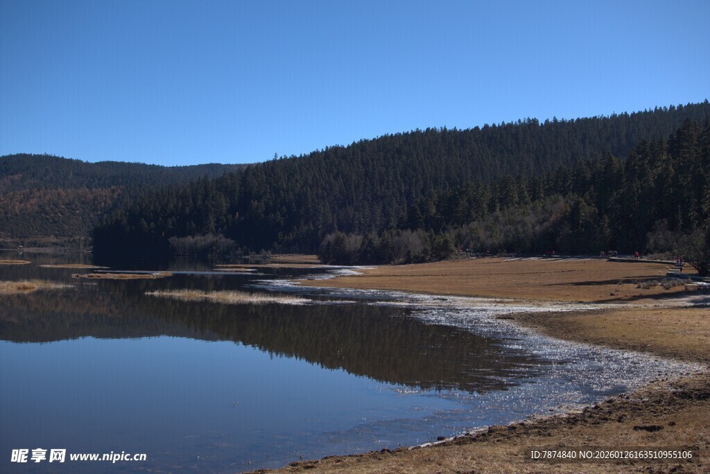 普达措森林公园