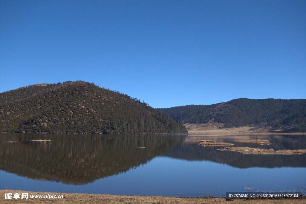 普达措森林公园