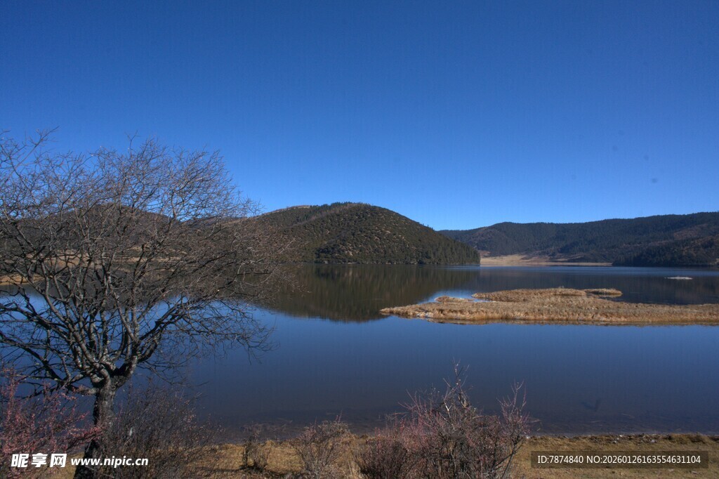 普达措森林公园