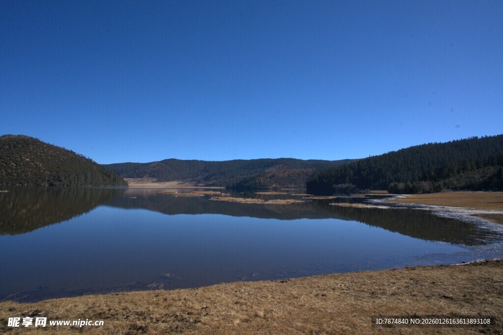 普达措森林公园