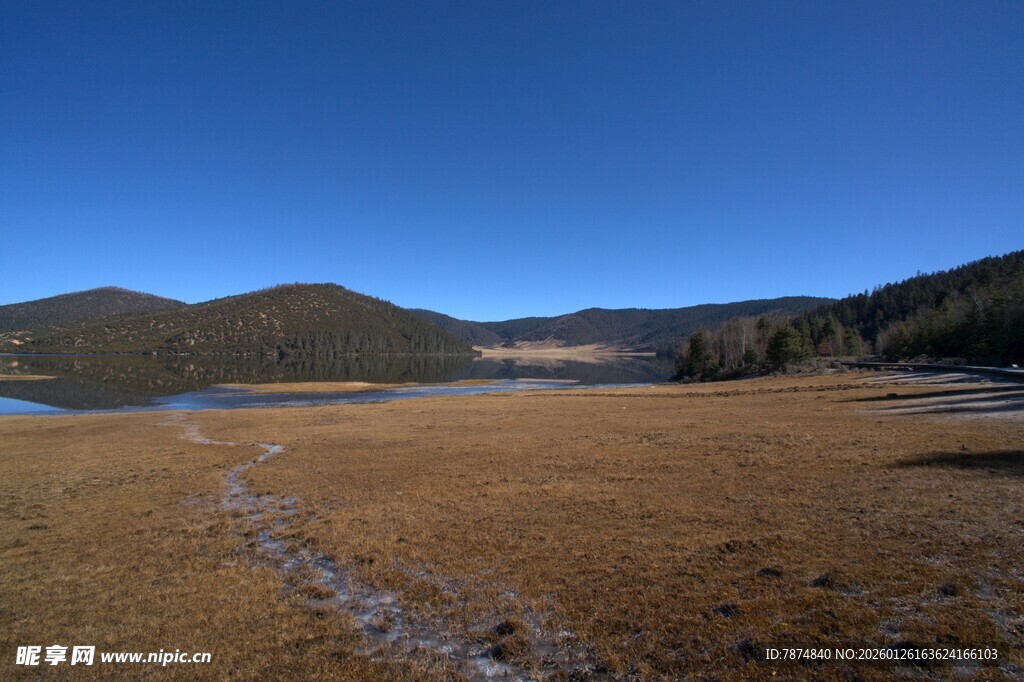 普达措森林公园