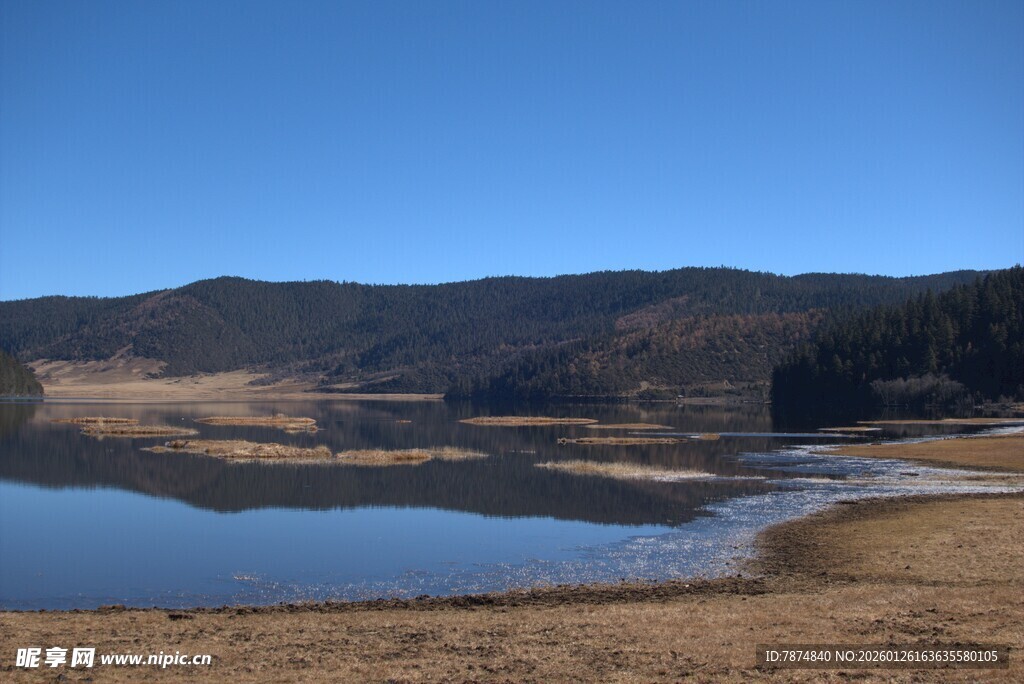 普达措森林公园