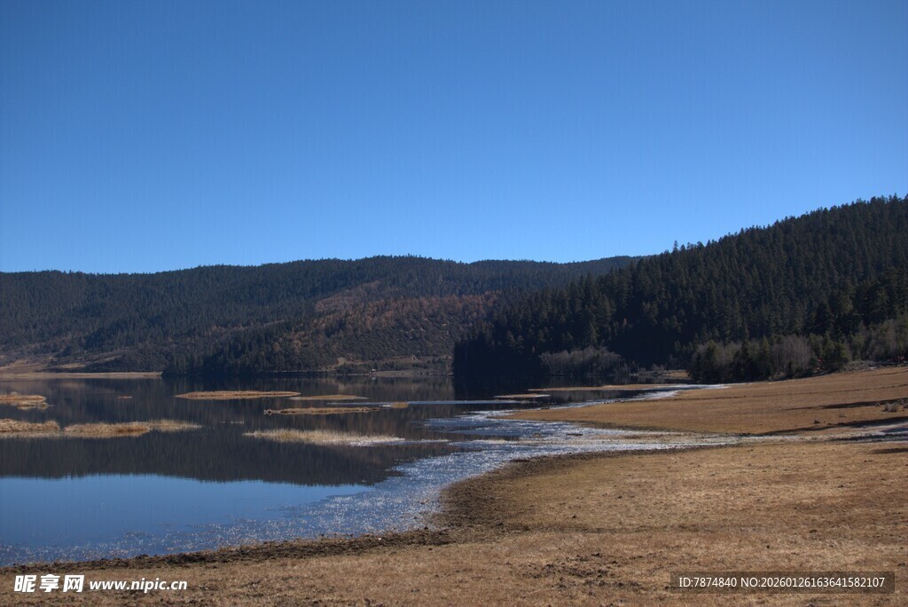 普达措森林公园