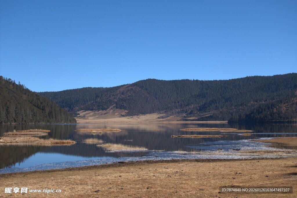 普达措森林公园